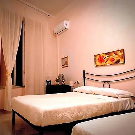 Domusrealstella Neapel
