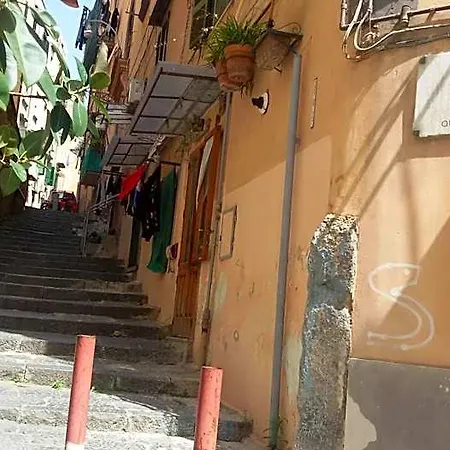 Frühstückspension Domusrealstella 4*