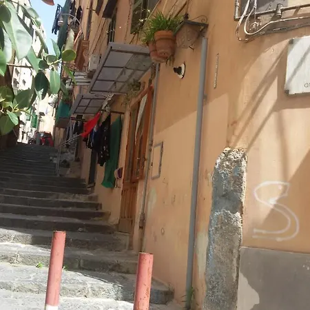 Panzió Domusrealstella 4*