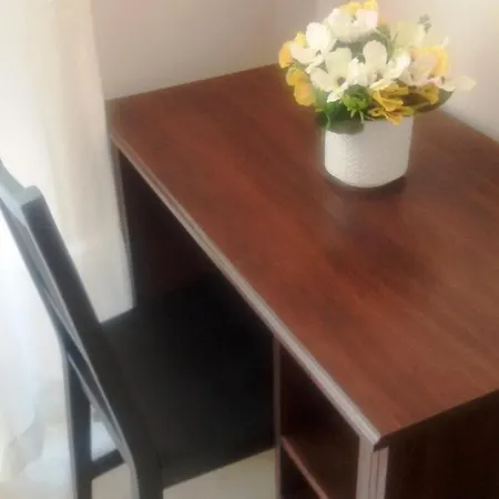 Panzió Domusrealstella